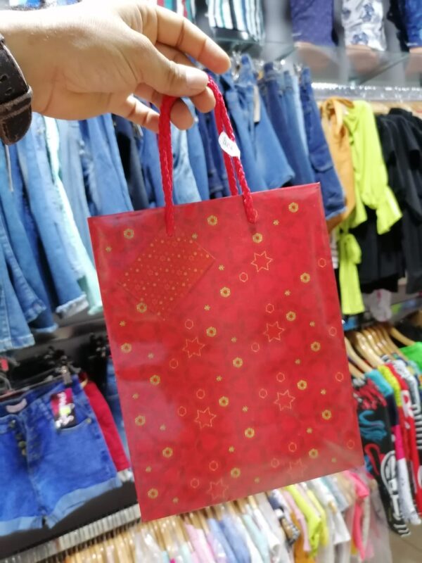 Bolsa de Colgar Talla M Primavera